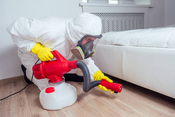 Best Pest Prevention Services  in East Niles, CA